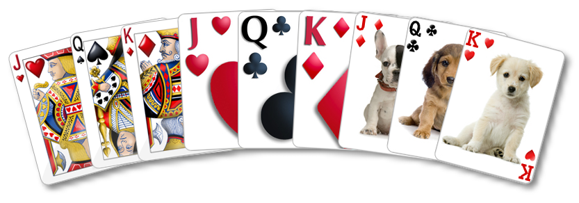 Free FreeCell Solitaire Download - This pack is containing 4